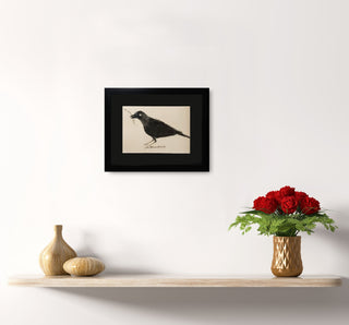 Crow - Framed