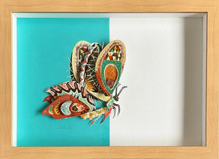 Butterfly - Framed