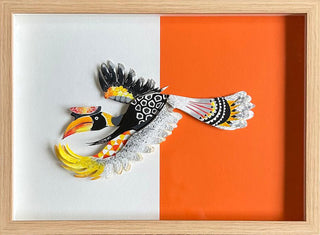 Hornbill - Framed