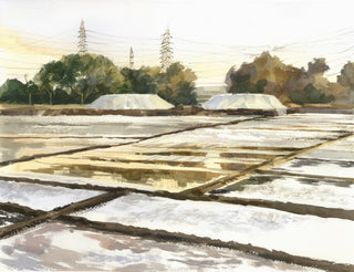 Salt Pans