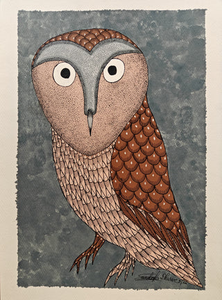 The Owl - Framed