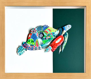 Turtle - Framed